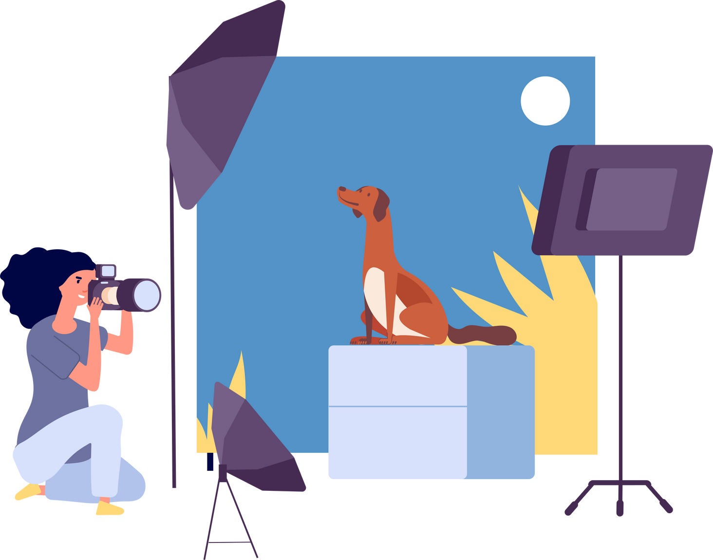 Animal photographer Photo studio